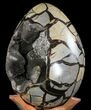 Septarian Dragon Egg Geode - Removable Section #78541-1